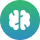 Memory Improvement